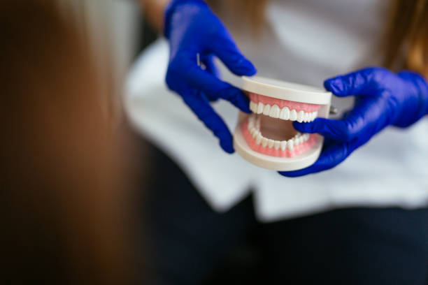 Best Dental Fillings (Composite and Amalgam)  in Myrtle Point, OR